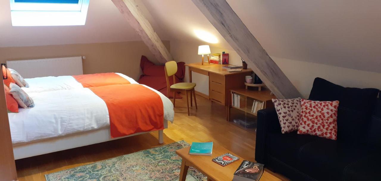 La Chouette Maison - Chambres D'Hotes Et Gite En Ville Remiremont Kültér fotó