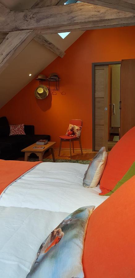 La Chouette Maison - Chambres D'Hotes Et Gite En Ville Remiremont Kültér fotó