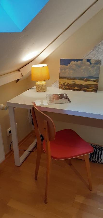 La Chouette Maison - Chambres D'Hotes Et Gite En Ville Remiremont Kültér fotó